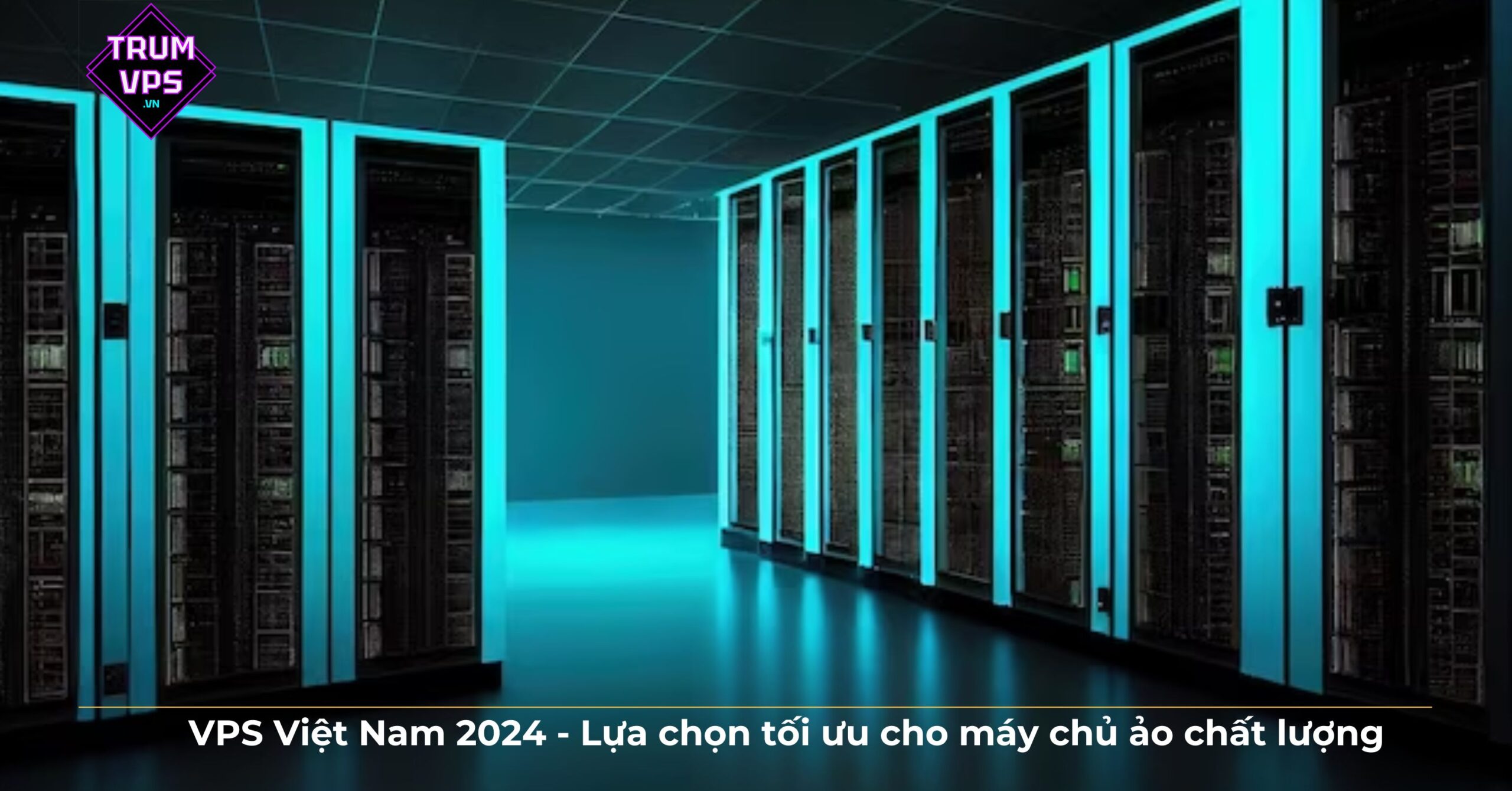 VPS Việt Nam