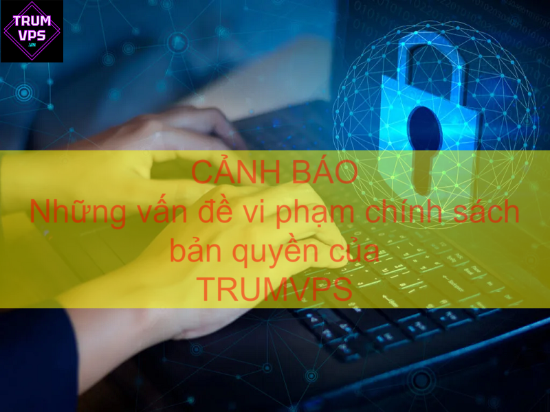 Vấn đề vi phạm chính sách bản quyền của VNSD